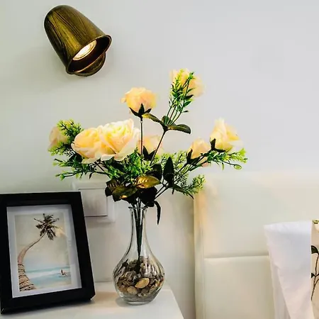 Painter 3 Bedroom Apartment In Lisbon-3